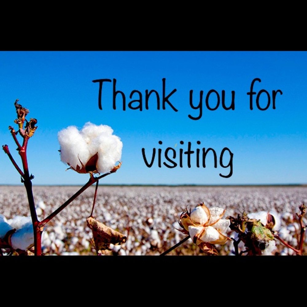 Thank you for visiting
